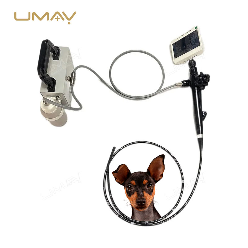 Flexible Vet Fiber Endoscope Video Pharyngoscope for Dogs Cats Horses and Cattle