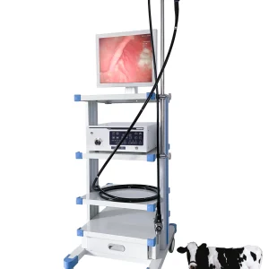 Video Gastroscope and Colonoscope for Large Animal Surgical Procedures