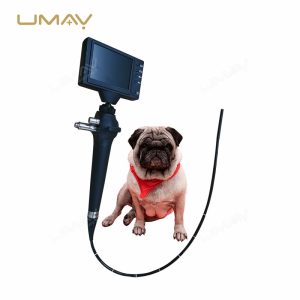 Mini Veterinary Endoscope Camera System for Endoscopy in Small Size Animals
