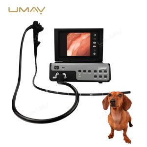 Portable Vet Endoscopy Gastroscopy Digital Imaging System for Animal Clinics