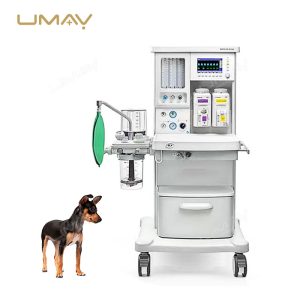 Mobile Anesthesia Machine WATO EX-20Vet for Surgical Monitoring-3
