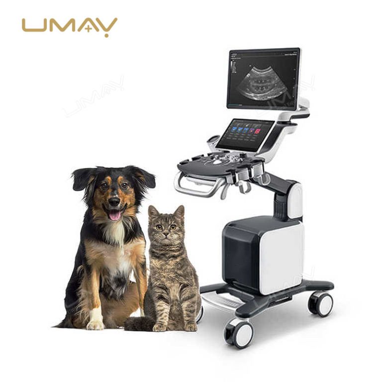 Veterinary Ultrasound Machine Vetus 60 for Multi-Species Imaging and Diagnosis-6