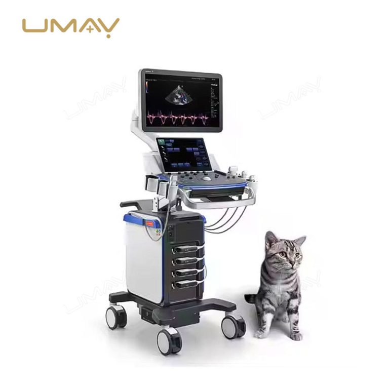 Vetus 7exp Veterinary Ultrasound Systems for Advanced Animal Imaging-2