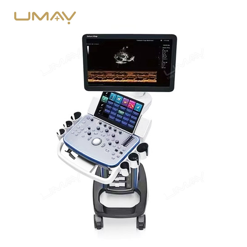 Vetus 8EXP Veterinary 3D 4D Ultrasound System for Advanced Animal Imaging