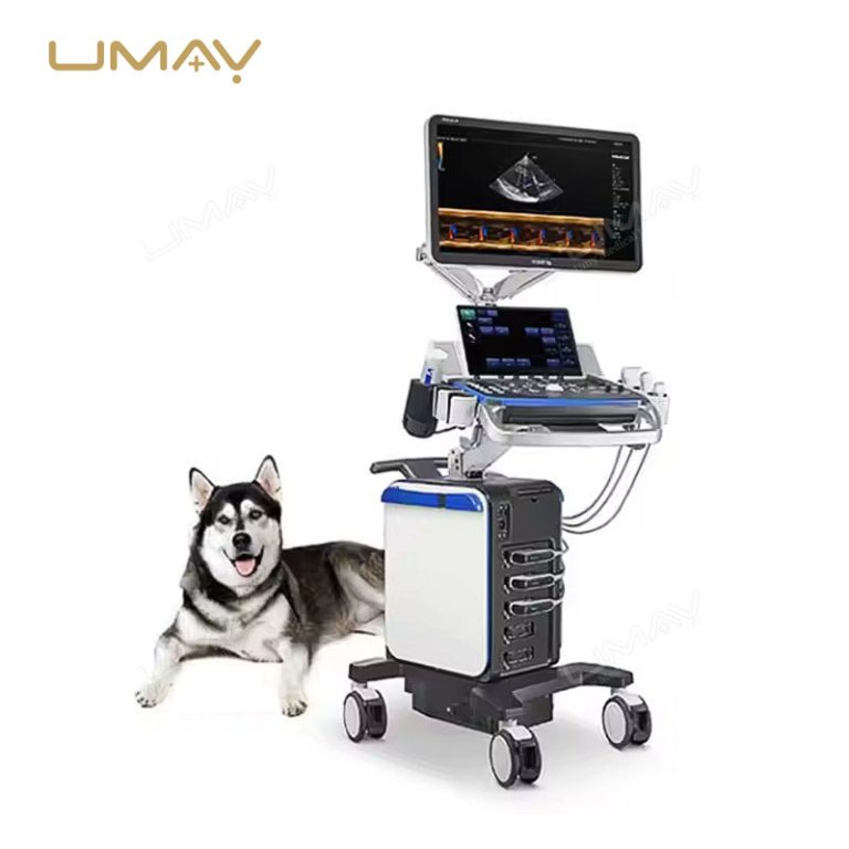 Vetus 8EXP Veterinary 3D 4D Ultrasound System for Advanced Animal Imaging-4