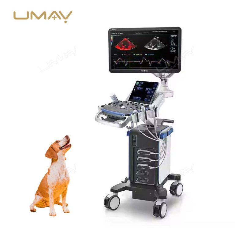 Vetus 8EXP Veterinary 3D 4D Ultrasound System for Advanced Animal Imaging-5