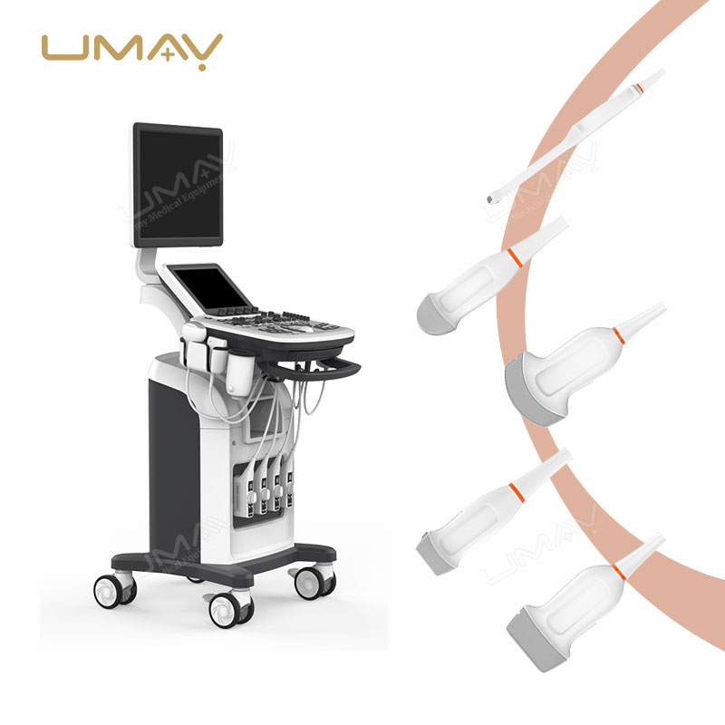 3D and 4D Color Doppler Ultrasound Machine Trolley for Fine-Detail Imaging