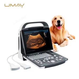 DP-10Vet Portable Black and White Veterinary Ultrasound Scanner for Daily Imaging-1