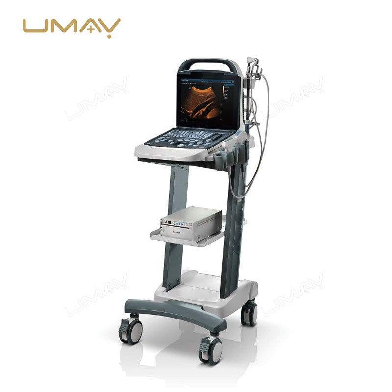 DP-10Vet Portable Black and White Veterinary Ultrasound Scanner for Daily Imaging