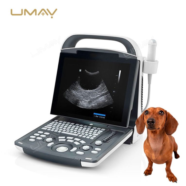 DP-10Vet Portable Black and White Veterinary Ultrasound Scanner for Daily Imaging-3