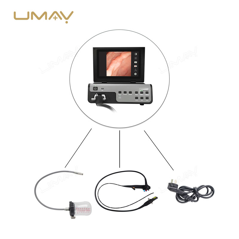 Digital Vet Gastroscope Endoscopy System for Animal Clinics and Field Use