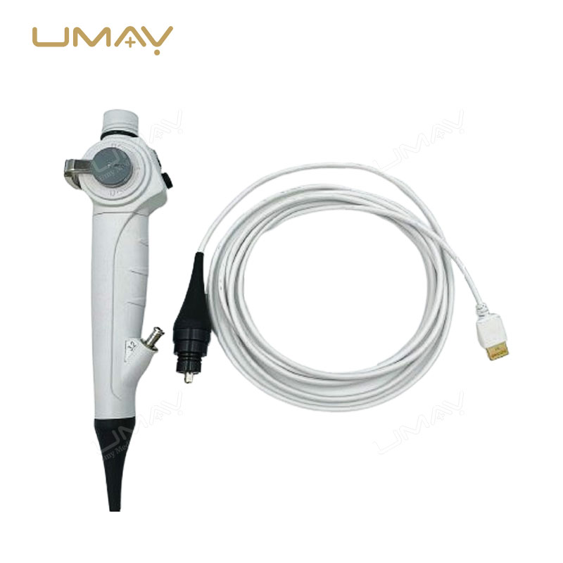 Flexible Vet Video Endoscope with 12.1 Inch Touch Screen and 4.8mm Insertion Tube