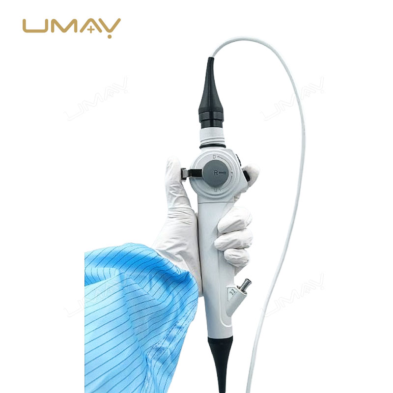 Flexible Vet Video Endoscope with 12.1 Inch Touch Screen and 4.8mm Insertion Tube