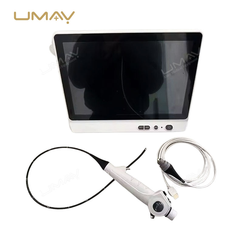 Flexible Vet Video Endoscope with 12.1 Inch Touch Screen and 4.8mm Insertion Tube
