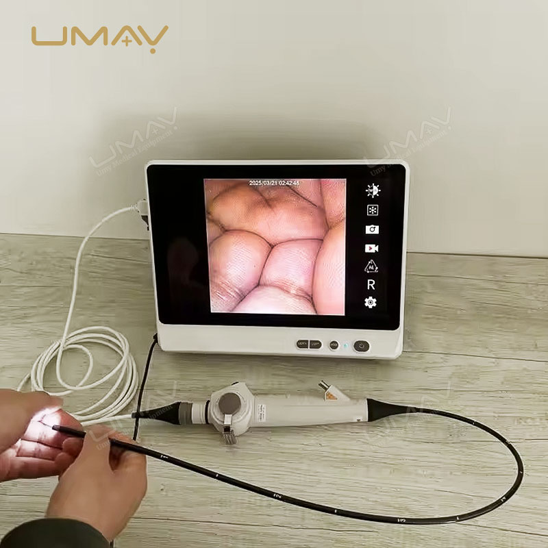 Flexible Vet Video Endoscope with 12.1 Inch Touch Screen and 4.8mm Insertion Tube