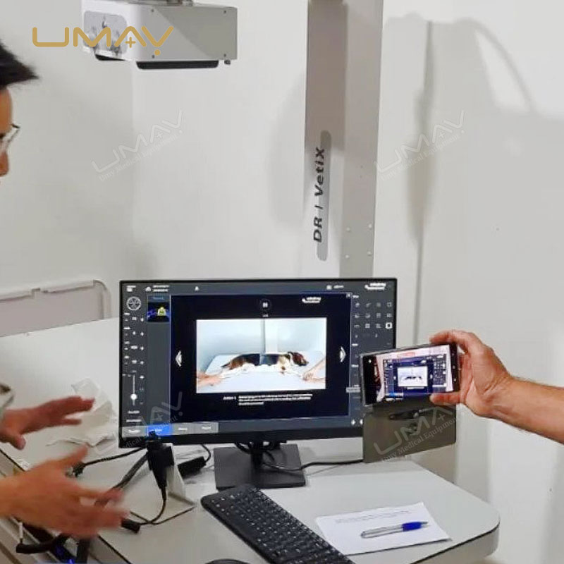 Vet Digital X-ray Radiography System Vetix S300 with DR Imaging