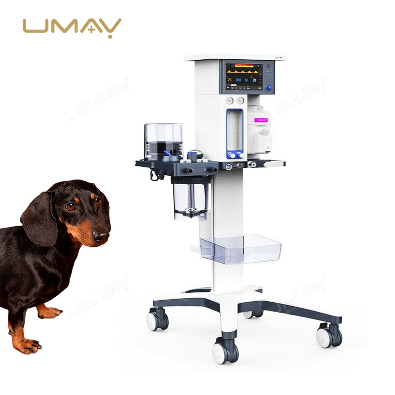 Veterinary Anesthesia Machine Veta 5 for Precision Surgical Gas Delivery