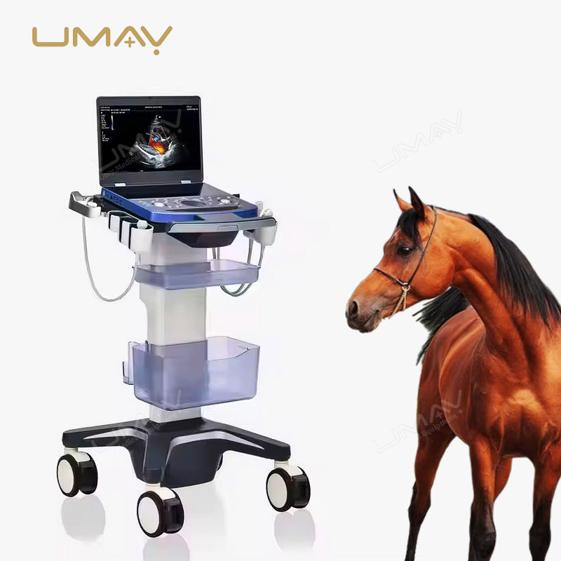 Vetus E7 Hand Carried Veterinary Ultrasound System for On-the-Go Animal Diagnostics