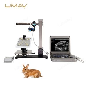 Portable Full-Digital Veterinary Ultrasound Scanner with High-Resolution Imaging and Wireless Probes-1