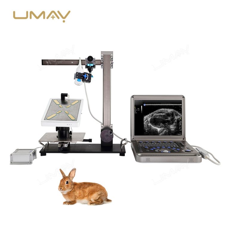Portable Full-Digital Veterinary Ultrasound Scanner with High-Resolution Imaging and Wireless Probes-1