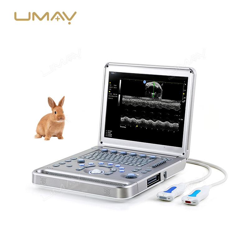 Portable Full-Digital Veterinary Ultrasound Scanner with High-Resolution Imaging and Wireless Probes