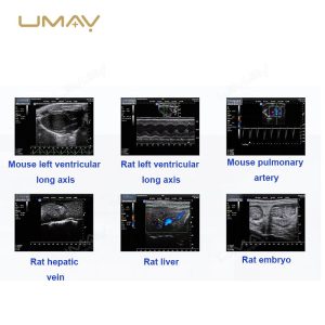 Portable Full-Digital Veterinary Ultrasound Scanner with High-Resolution Imaging and Wireless Probes-4