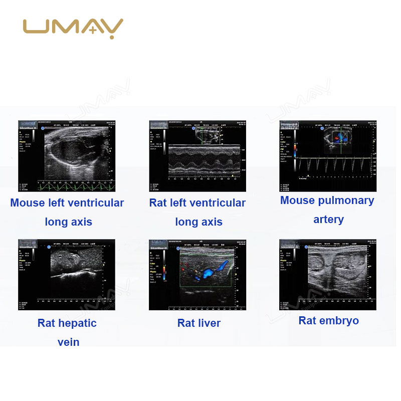 Portable Full-Digital Veterinary Ultrasound Scanner with High-Resolution Imaging and Wireless Probes