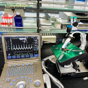 Portable Full-Digital Veterinary Ultrasound Scanner with High-Resolution Imaging and Wireless Probes-5