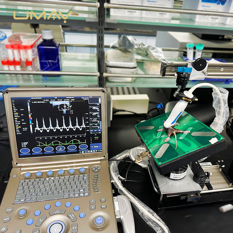 Portable Full-Digital Veterinary Ultrasound Scanner with High-Resolution Imaging and Wireless Probes