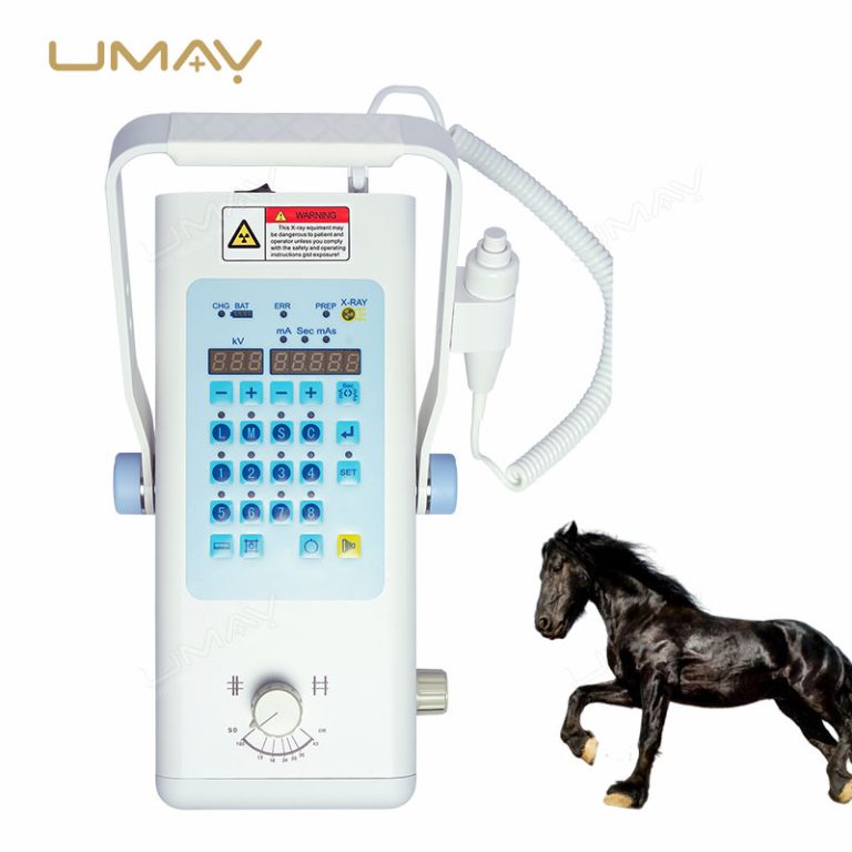 Vet Compact X-Ray Imaging System with Flat Panel Detector for Equine Leg Diagnosis-4