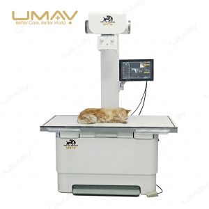 UMDRXY003 20/32kW Veterinary Digital X-Ray Machine with 17×17 FPD