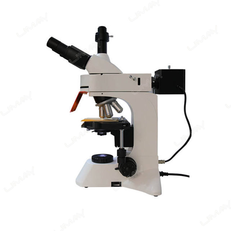 UMMS013-microscopes-right-view